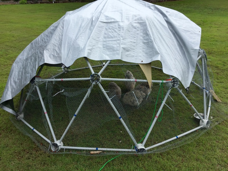Zip Tie Domes Australia - Index of Geodesic Dome Kits